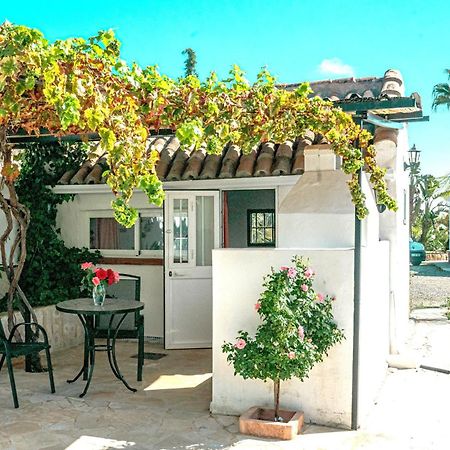 טולוקס Tiny House 12M2 In Holiday Park With 55 M2 Pool מראה חיצוני תמונה