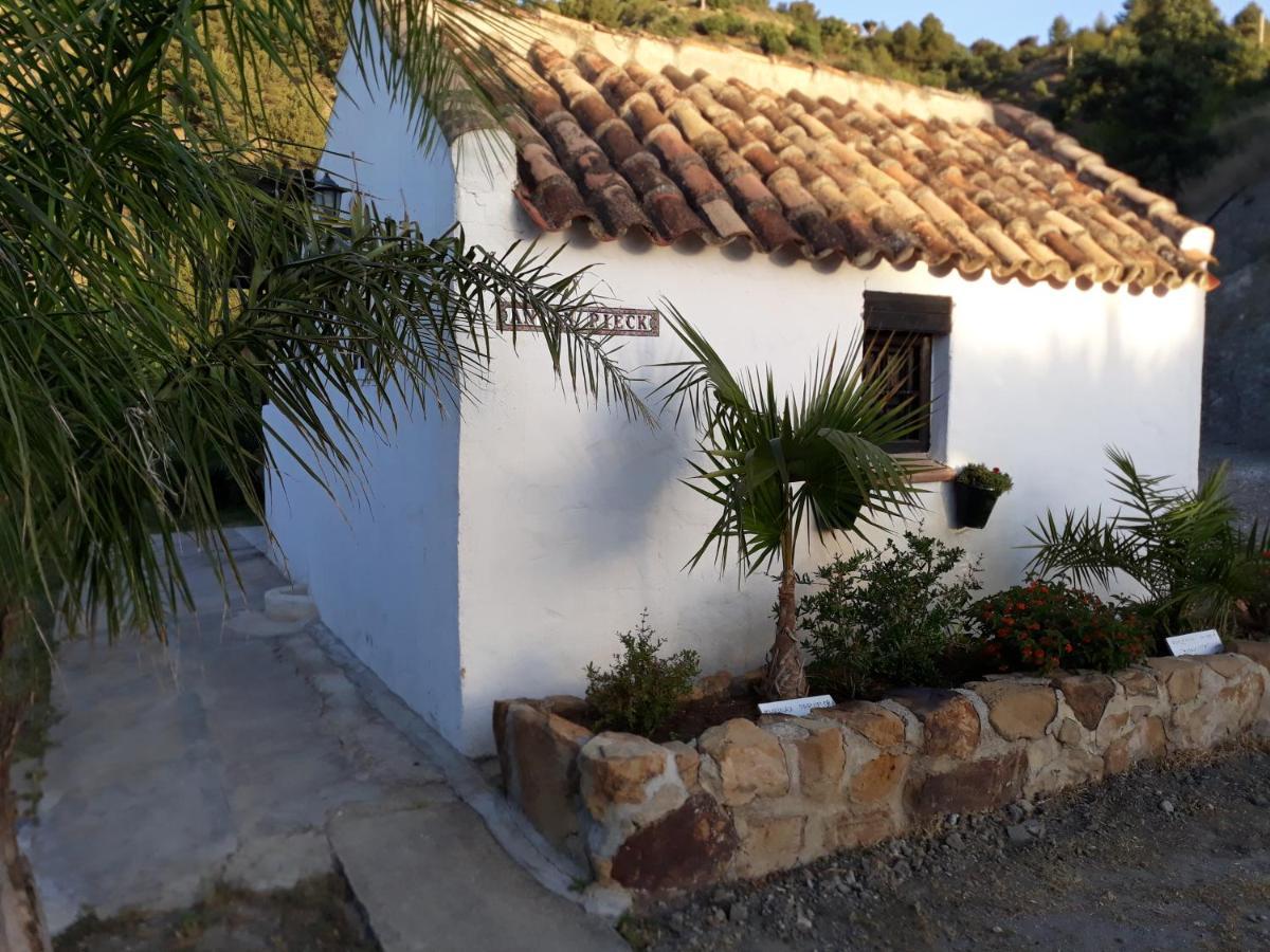 טולוקס Tiny House 12M2 In Holiday Park With 55 M2 Pool מראה חיצוני תמונה