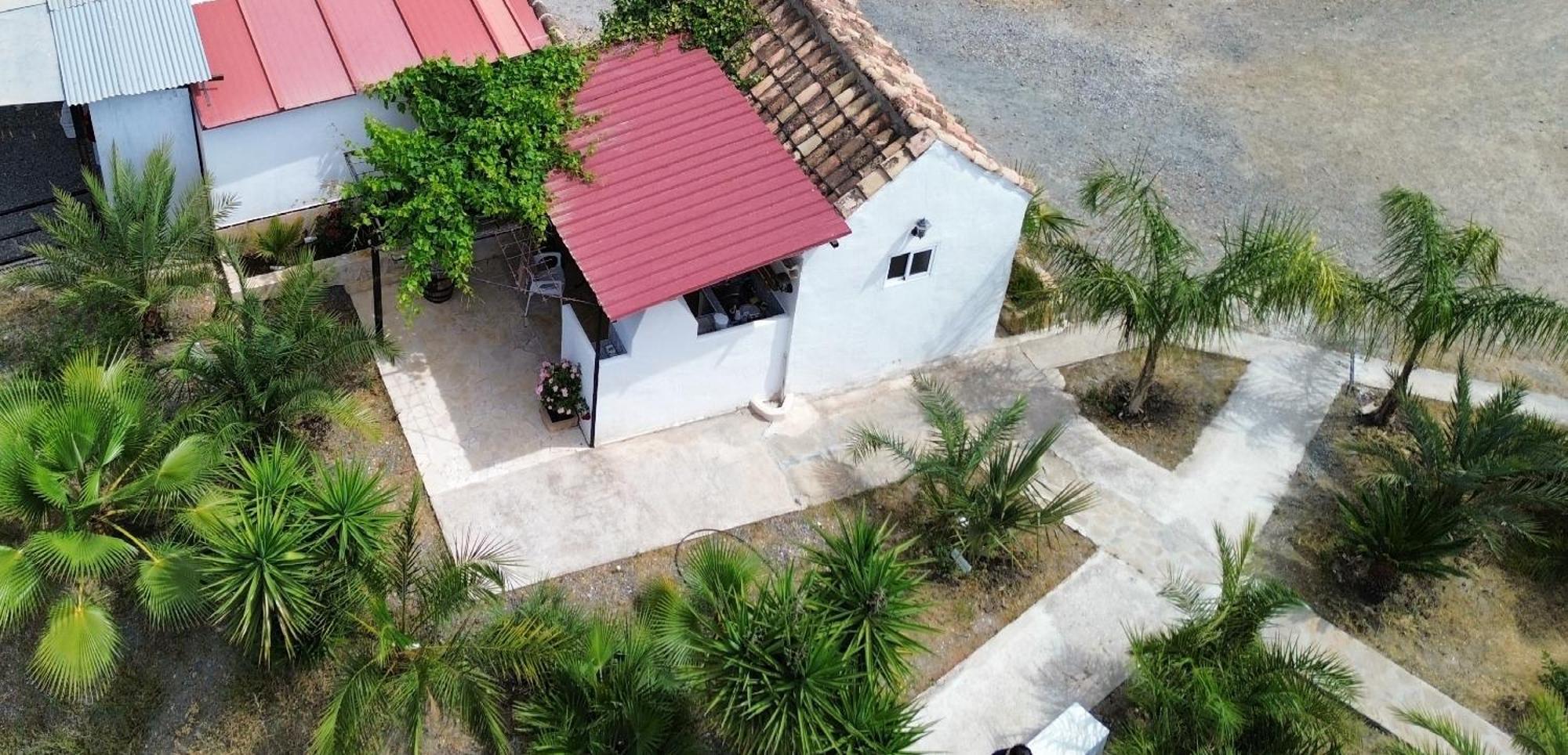 טולוקס Tiny House 12M2 In Holiday Park With 55 M2 Pool מראה חיצוני תמונה