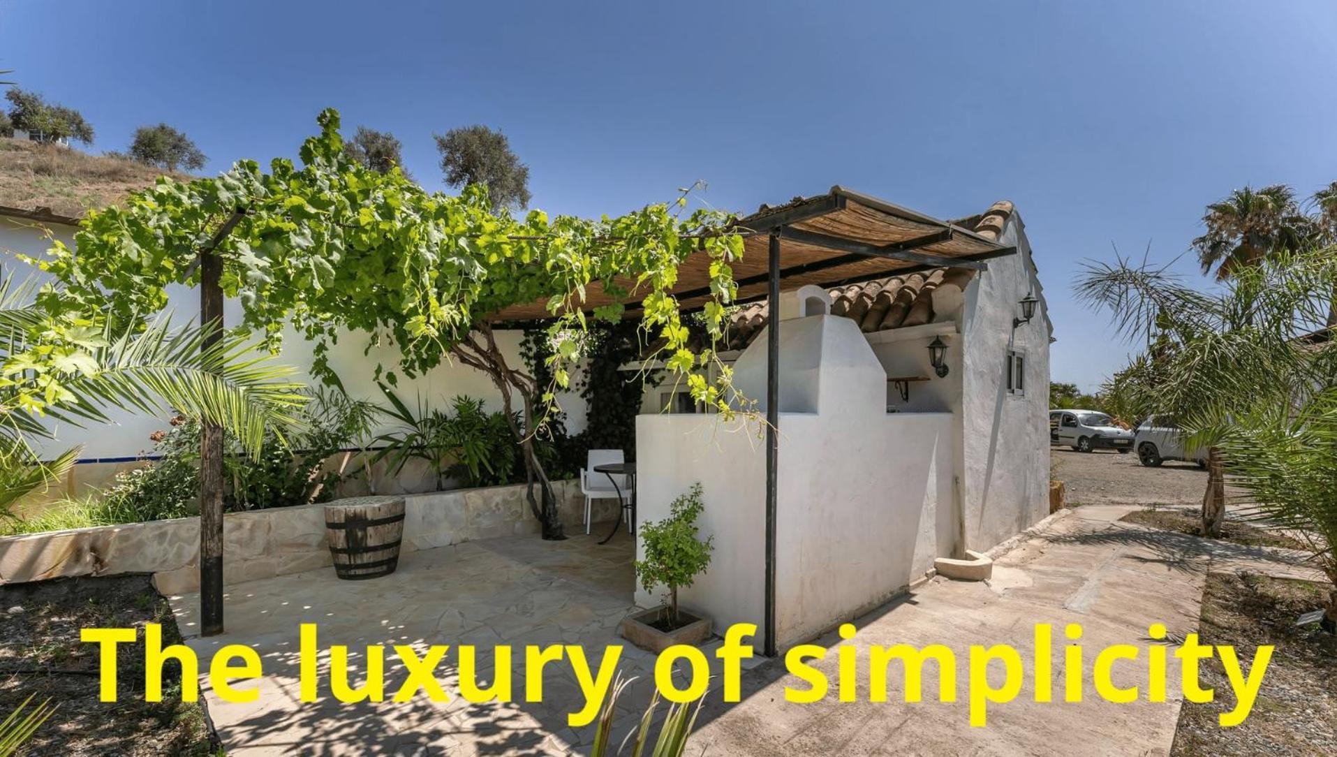 טולוקס Tiny House 12M2 In Holiday Park With 55 M2 Pool מראה חיצוני תמונה