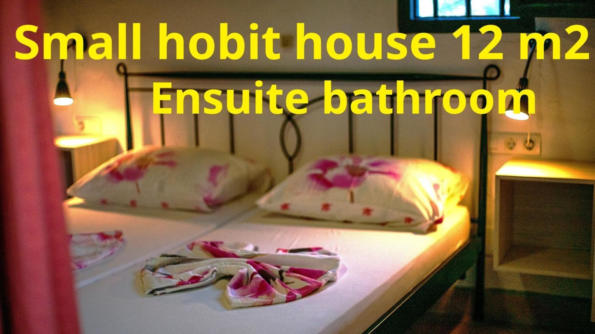 טולוקס Tiny House 12M2 In Holiday Park With 55 M2 Pool מראה חיצוני תמונה