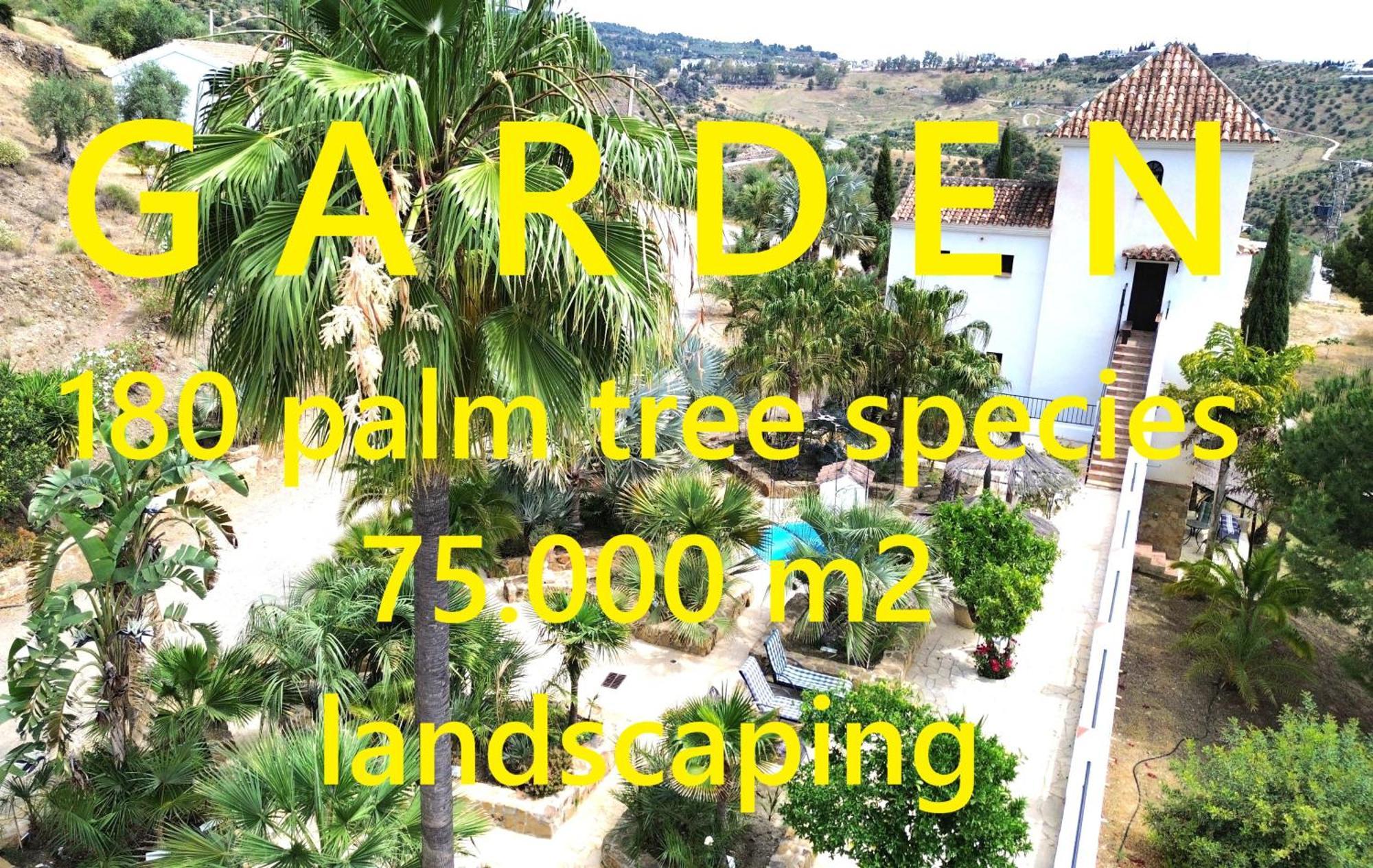 טולוקס Tiny House 12M2 In Holiday Park With 55 M2 Pool מראה חיצוני תמונה